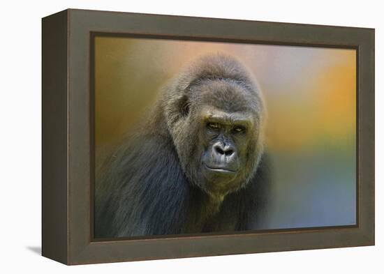 Portrait of a Gorilla-Jai Johnson-Framed Premier Image Canvas