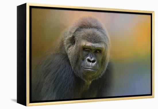 Portrait of a Gorilla-Jai Johnson-Framed Premier Image Canvas