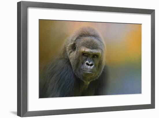 Portrait of a Gorilla-Jai Johnson-Framed Giclee Print