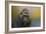 Portrait of a Gorilla-Jai Johnson-Framed Giclee Print