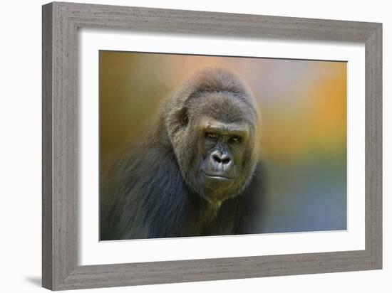 Portrait of a Gorilla-Jai Johnson-Framed Giclee Print