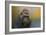 Portrait of a Gorilla-Jai Johnson-Framed Giclee Print