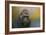 Portrait of a Gorilla-Jai Johnson-Framed Giclee Print