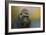 Portrait of a Gorilla-Jai Johnson-Framed Giclee Print