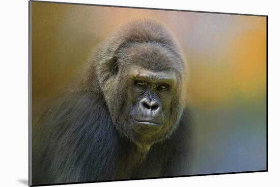 Portrait of a Gorilla-Jai Johnson-Mounted Giclee Print