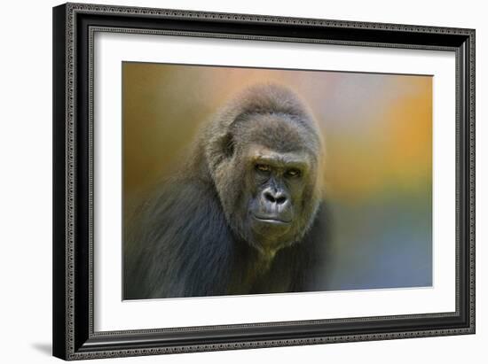 Portrait of a Gorilla-Jai Johnson-Framed Giclee Print