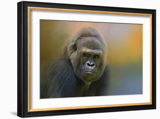 Portrait of a Gorilla-Jai Johnson-Framed Giclee Print