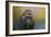 Portrait of a Gorilla-Jai Johnson-Framed Giclee Print