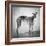 Portrait of a Greyhound dog-Panoramic Images-Framed Photographic Print