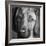 Portrait of a Hound Mix Dog-Panoramic Images-Framed Photographic Print