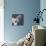 Portrait of a Jack Russell Terrier Dog-Panoramic Images-Photographic Print displayed on a wall