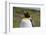 Portrait of a King penguin, Aptenodytes patagonica.-Sergio Pitamitz-Framed Photographic Print