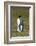 Portrait of a King penguin, Aptenodytes patagonica.-Sergio Pitamitz-Framed Photographic Print