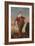 Portrait of a King (Potentially Constantine Iv) (Oil on Canvas)-Daniel Mytens-Framed Giclee Print