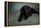 Portrait of a Labrador Great Dane Mixed Dog-null-Framed Premier Image Canvas