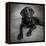 Portrait of a Labrador Great Dane Mixed Dog-null-Framed Premier Image Canvas