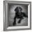 Portrait of a Labrador Great Dane Mixed Dog-null-Framed Photographic Print