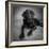 Portrait of a Labrador Great Dane Mixed Dog-null-Framed Photographic Print