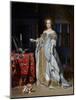 Portrait of a Lady, 1667-Gabriel Metsu-Mounted Giclee Print