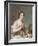 Portrait of a Lady, 1738-Jean-Marc Nattier-Framed Giclee Print