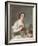 Portrait of a Lady, 1738-Jean-Marc Nattier-Framed Giclee Print