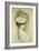 Portrait of a Lady, thought to be Madame Helleu-Paul Cesar Helleu-Framed Giclee Print