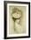 Portrait of a Lady, thought to be Madame Helleu-Paul Cesar Helleu-Framed Giclee Print