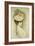 Portrait of a Lady, Thought to Be Madame Helleu-Paul Cesar Helleu-Framed Giclee Print