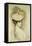 Portrait of a Lady, Thought to Be Madame Helleu-Paul Cesar Helleu-Framed Premier Image Canvas