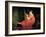 Portrait of a Lady-Briton Rivière-Framed Giclee Print