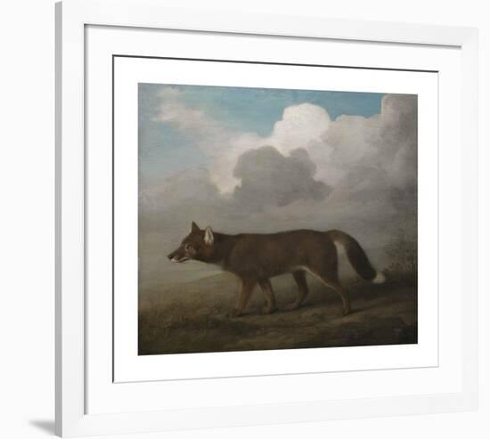 Portrait of a Large Dog (Dingo)-George Stubbs-Framed Premium Giclee Print