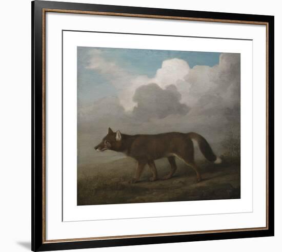 Portrait of a Large Dog (Dingo)-George Stubbs-Framed Premium Giclee Print