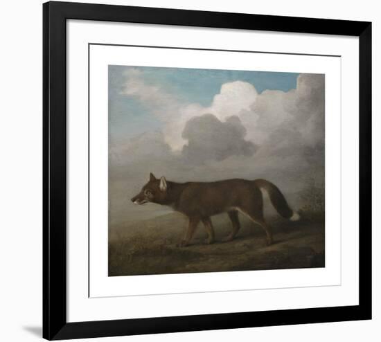Portrait of a Large Dog (Dingo)-George Stubbs-Framed Premium Giclee Print