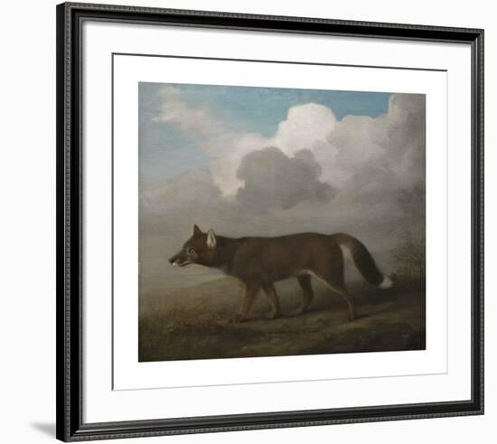 Portrait of a Large Dog (Dingo)-George Stubbs-Framed Premium Giclee Print