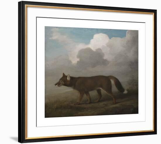 Portrait of a Large Dog (Dingo)-George Stubbs-Framed Premium Giclee Print