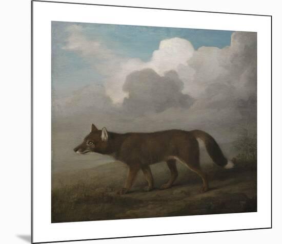 Portrait of a Large Dog (Dingo)-George Stubbs-Mounted Premium Giclee Print