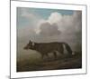 Portrait of a Large Dog (Dingo)-George Stubbs-Mounted Premium Giclee Print