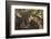 Portrait of a leopard resting on a tree and looking at the camera. Okavango Delta, Botswana-Sergio Pitamitz-Framed Photographic Print