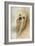 Portrait of a Lhasa Apso-Jai Johnson-Framed Giclee Print