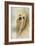 Portrait of a Lhasa Apso-Jai Johnson-Framed Giclee Print