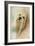 Portrait of a Lhasa Apso-Jai Johnson-Framed Giclee Print