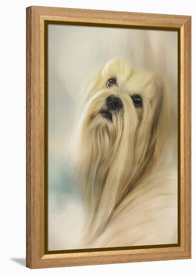 Portrait of a Lhasa Apso-Jai Johnson-Framed Premier Image Canvas