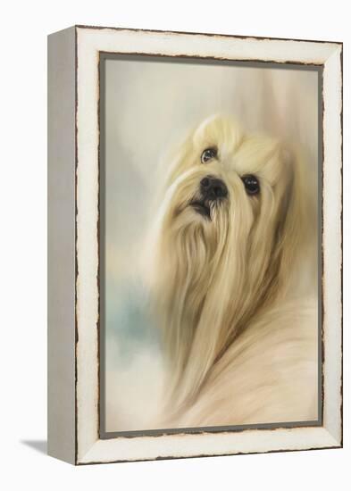 Portrait of a Lhasa Apso-Jai Johnson-Framed Premier Image Canvas