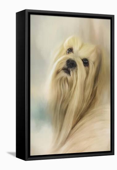 Portrait of a Lhasa Apso-Jai Johnson-Framed Premier Image Canvas