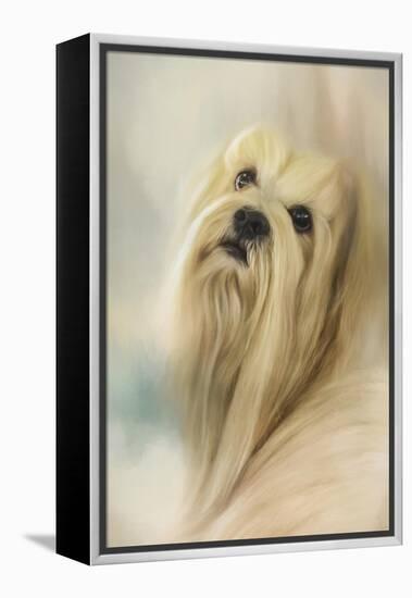 Portrait of a Lhasa Apso-Jai Johnson-Framed Premier Image Canvas