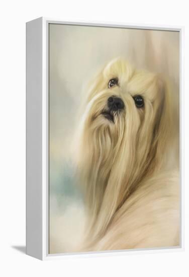 Portrait of a Lhasa Apso-Jai Johnson-Framed Premier Image Canvas