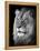 Portrait Of A Lion In Black And White-Reinhold Leitner-Framed Premier Image Canvas