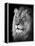 Portrait Of A Lion In Black And White-Reinhold Leitner-Framed Premier Image Canvas