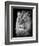 Portrait Of A Lion In Black And White-Reinhold Leitner-Framed Photographic Print