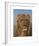 Portrait of a Lion - Prado-Rosa Bonheur-Framed Premium Giclee Print